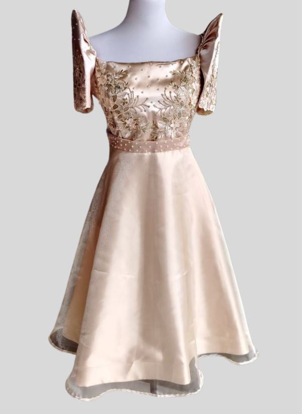 Alone Organza Filipiniana