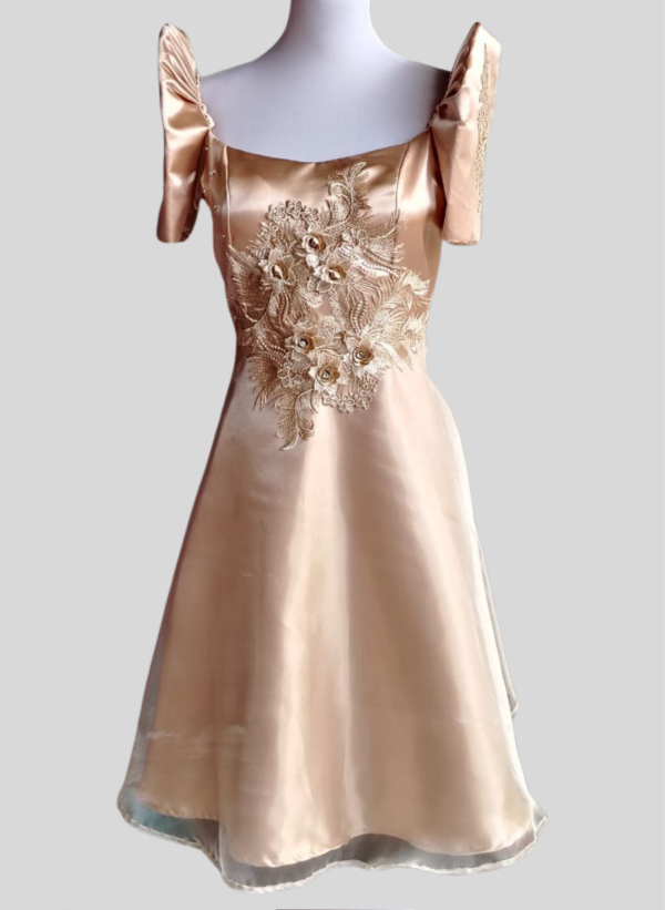 Kim Organza Filipiniana