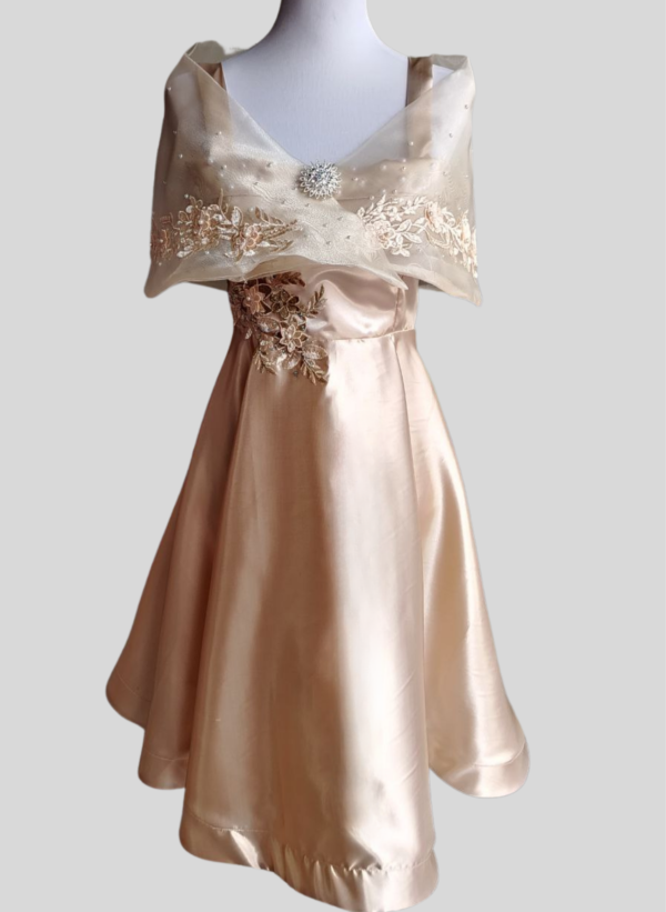 Quency Two-way Dress