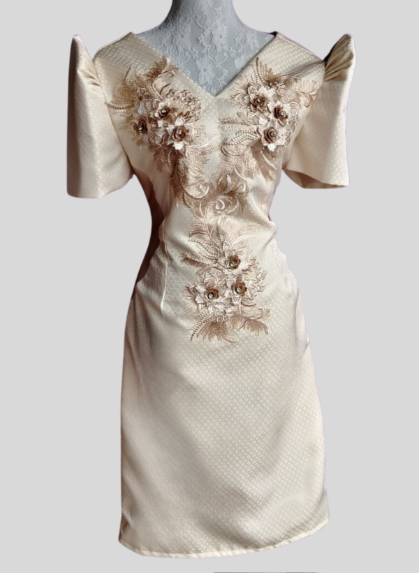 Hailey Modern Filipiniana