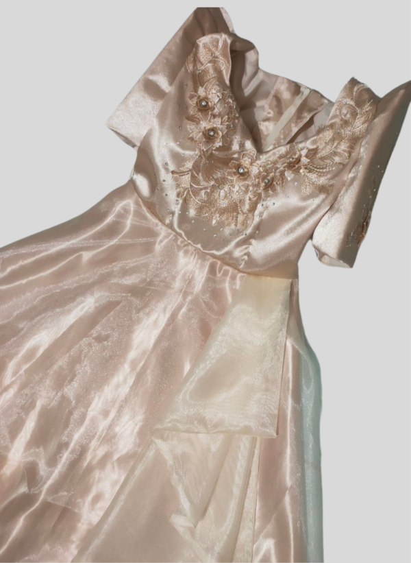 Conse Organza Filipiniana Dress