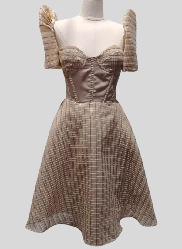 Ezrah Bustier Corset Dress