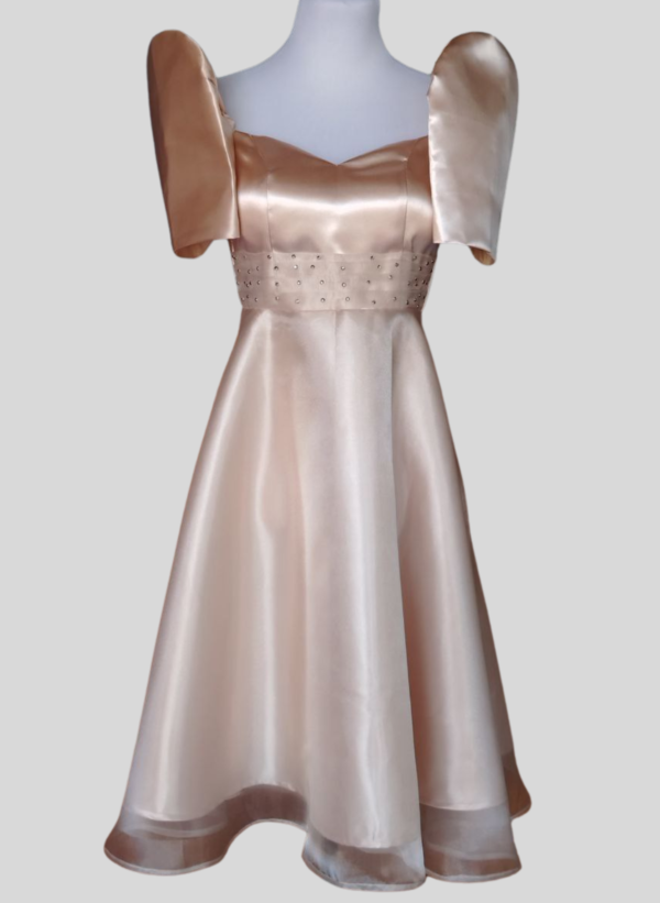 Macy Organza Silk Filipiniana